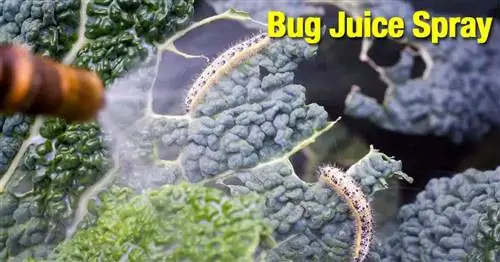 Натуральный спрей от насекомых Bug Juice – использование насекомых для отпугивания насекомых