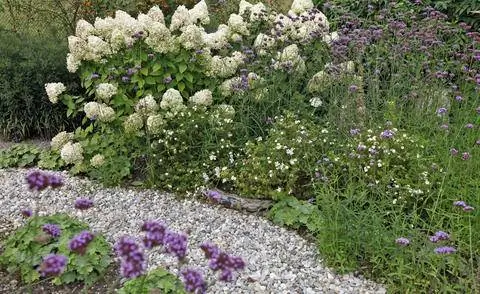 Садовая дорожка с гравийным покрытием