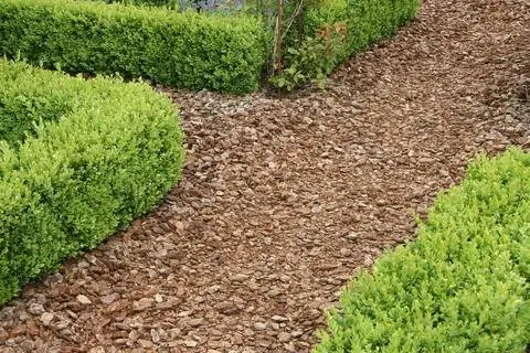 Садовая дорожка с мульчей из коры