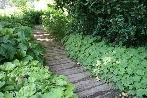 Деревянная садовая дорожка