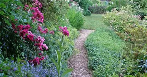Садовые дорожки для природного сада: от гравия до деревянной брусчатки