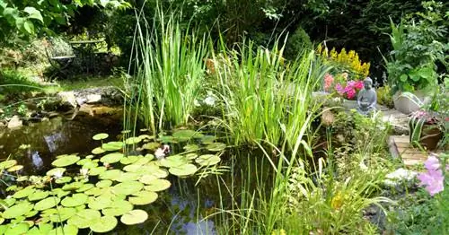 Идеи украшения садового пруда