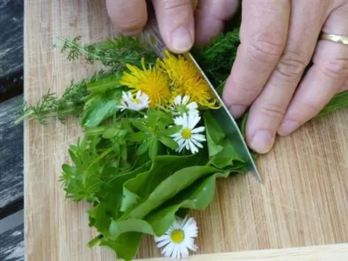 Нарезать дикорастущие травы