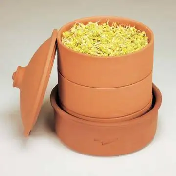 Глиняный горшок для семян
