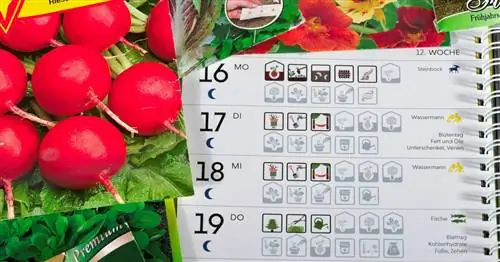 Лунный календарь: Садоводство по луне