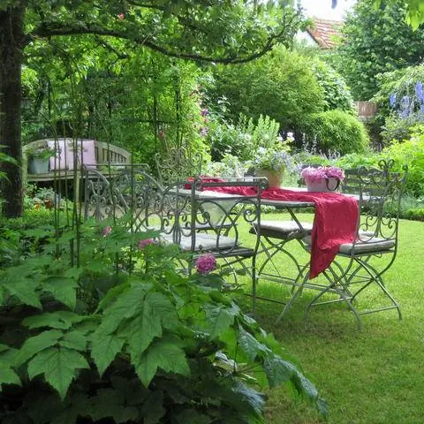 Большие деревья и место на переднем плане