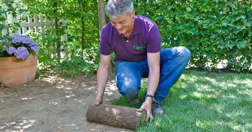 Укладка газона – шаг за шагом