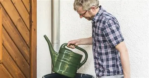 Экономить воду в саду так просто