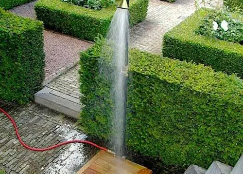 Image Image