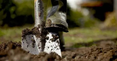 10 советов по уходу за полом