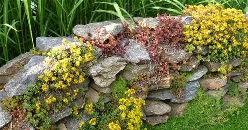 Красочные насаждения на стенах из натурального камня