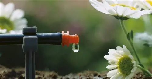 Подготовьте сад к праздникам