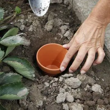 копать горшок