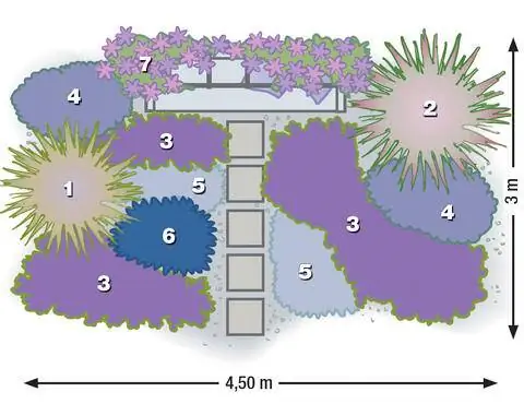 План посадки сине-фиолетового моря цветов