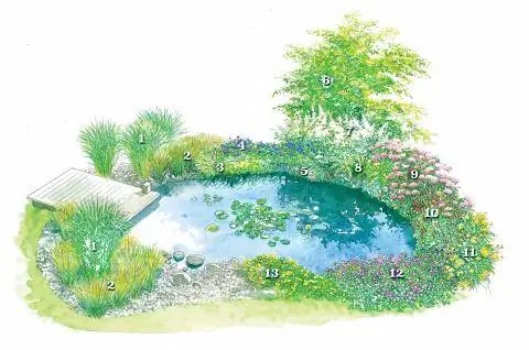 План посадки на краю пруда