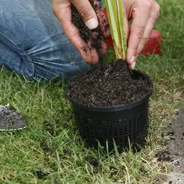 Субстрат для растений в пластиковом горшке