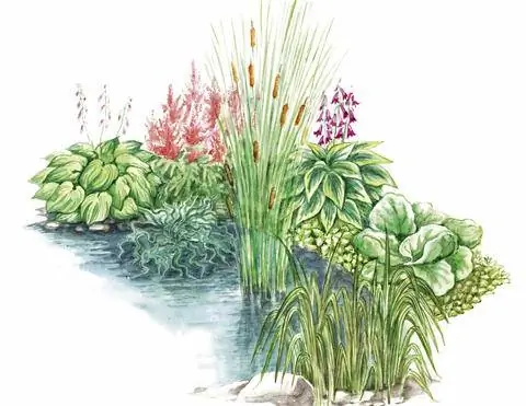 плавный переход от пруда к растениям на берегу
