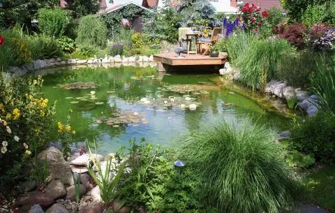 Зона отдыха у пруда