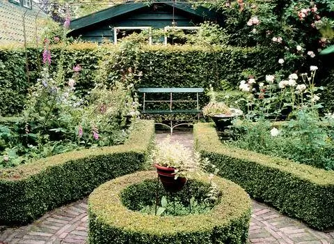 Романтический сад с самшитами
