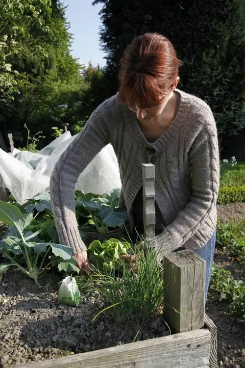 высокая кровать