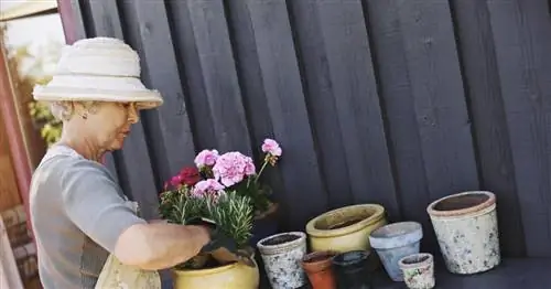 Садоводство без вреда для спины