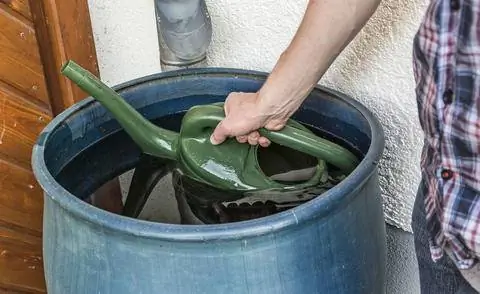 Наполните лейку водой из дождевой бочки