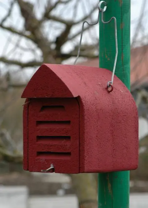 златоглазка коробка