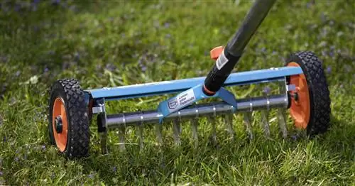 Скарификация газона: когда и как делать