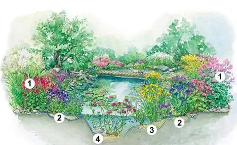 Зоны озеленения естественных прудов