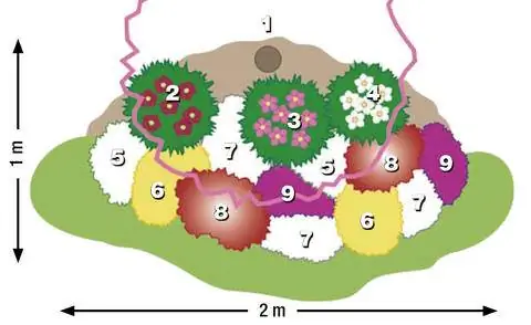 План посадки весеннего острова