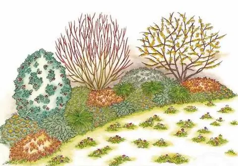 Луг крокусов перед тентом