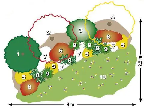 Луг крокусов перед тенистой кроватью
