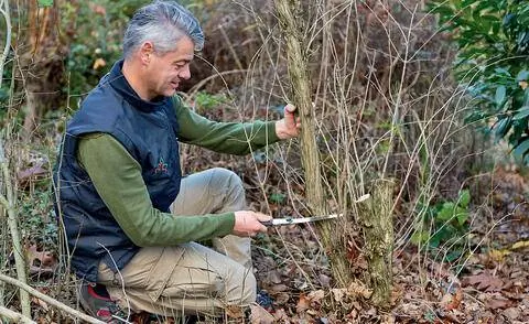 Омолаживающая стрижка на дейции