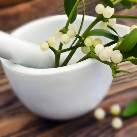 Омела ведьма трава