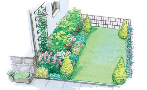 Передний двор с газоном и туей