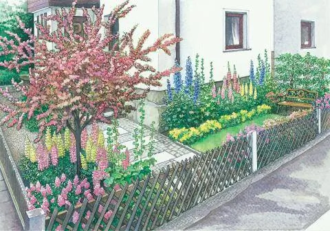 Передний двор с настоящим боярышником