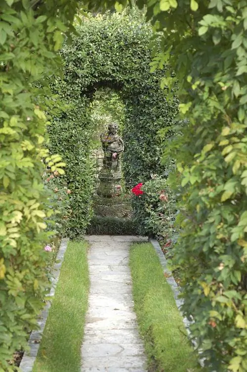 арка изгороди