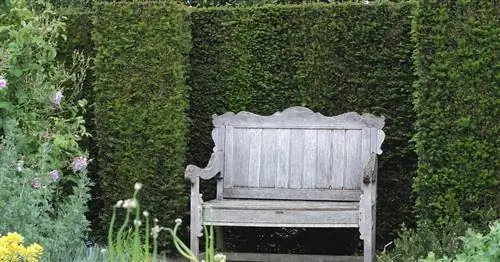 Изгороди как перегородки