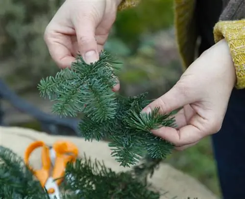 проволочные ветки