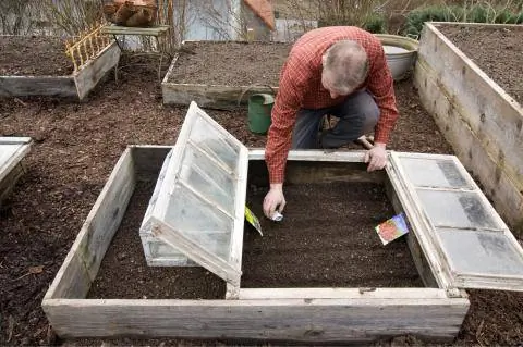 Сеять овощи в грядку