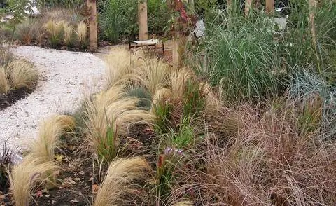 современный дизайн сада с декоративными травами