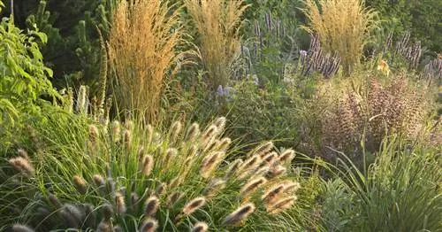 Увлекательный травяной сад