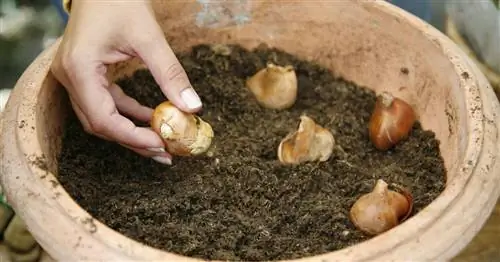 Терраса & Балкон: лучшие советы в сентябре