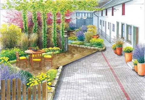 Гравийный сад с молодыми лозами