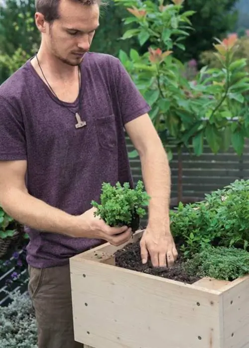 Приподнятая грядка