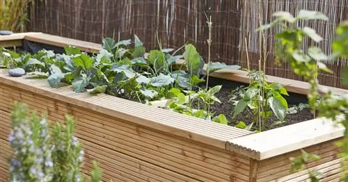 Создайте свою собственную приподнятую грядку – шаг за шагом