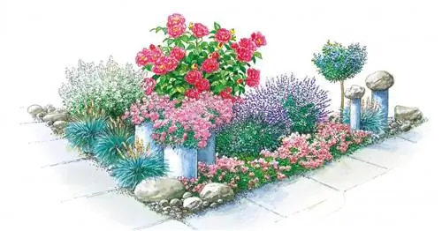 Три идеи озеленения грядок с углами и краями