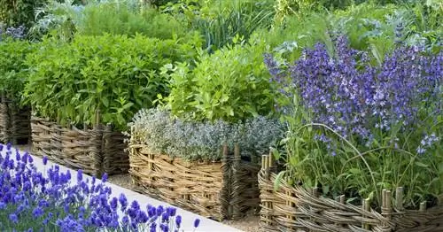 Идеи для грядок с травами