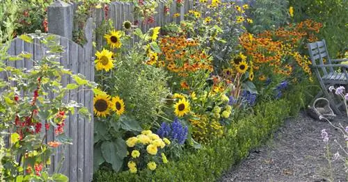 Самые важные растения для сада на даче