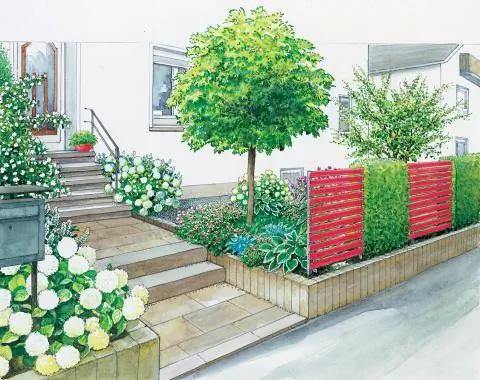 Передний двор с пурпурным акцентом